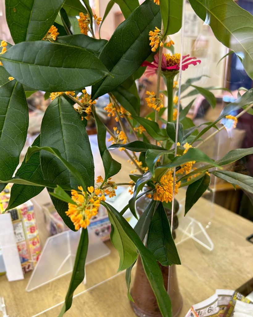 デイサービスめぐる都城に飾られたきんもくせいの花